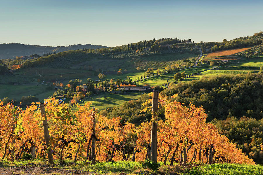Tuscany, Vineyards In Autumn, Italy Digital Art by Maurizio Rellini