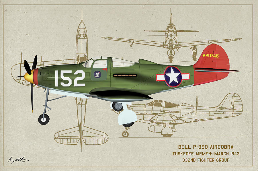 Tuskegee P-36Q Profile Art Digital Art by Tommy Anderson