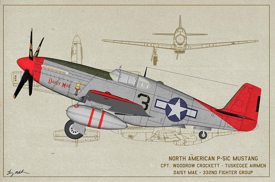 Tuskegee P-51C Daisy Mae Profile Art Digital Art by Tommy Anderson