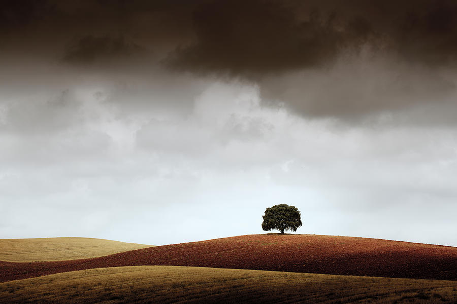 Landscape Photograph - Tuve Que Pararme Al Verla by Alberto Merchn