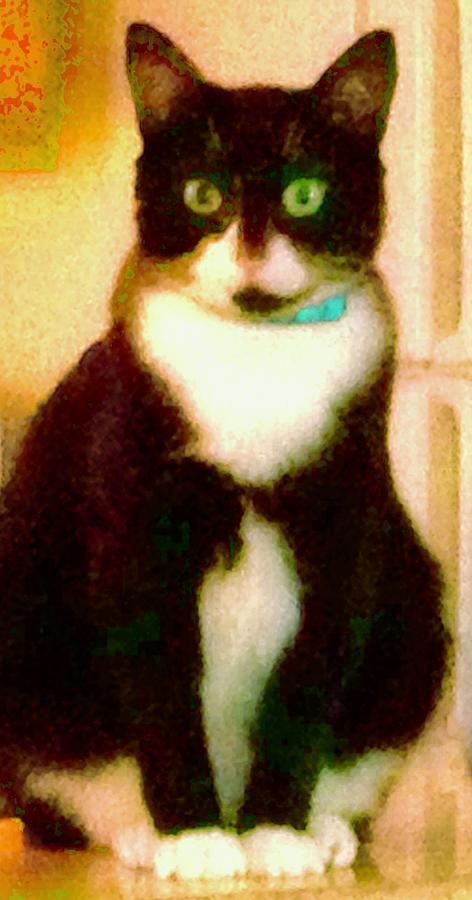 Tuxedo Cat Photograph by Debra Grace Addison