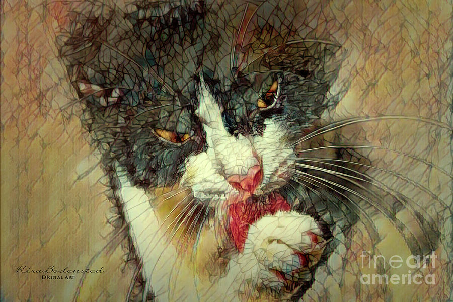 Tuxedo cat, vintage style Mixed Media by Kira Bodensted