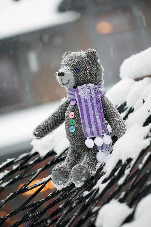 Tweed Teddy Bears Wearing Scarf Sitting On Snowy Hammock Photograph by Juta Kbarsepp