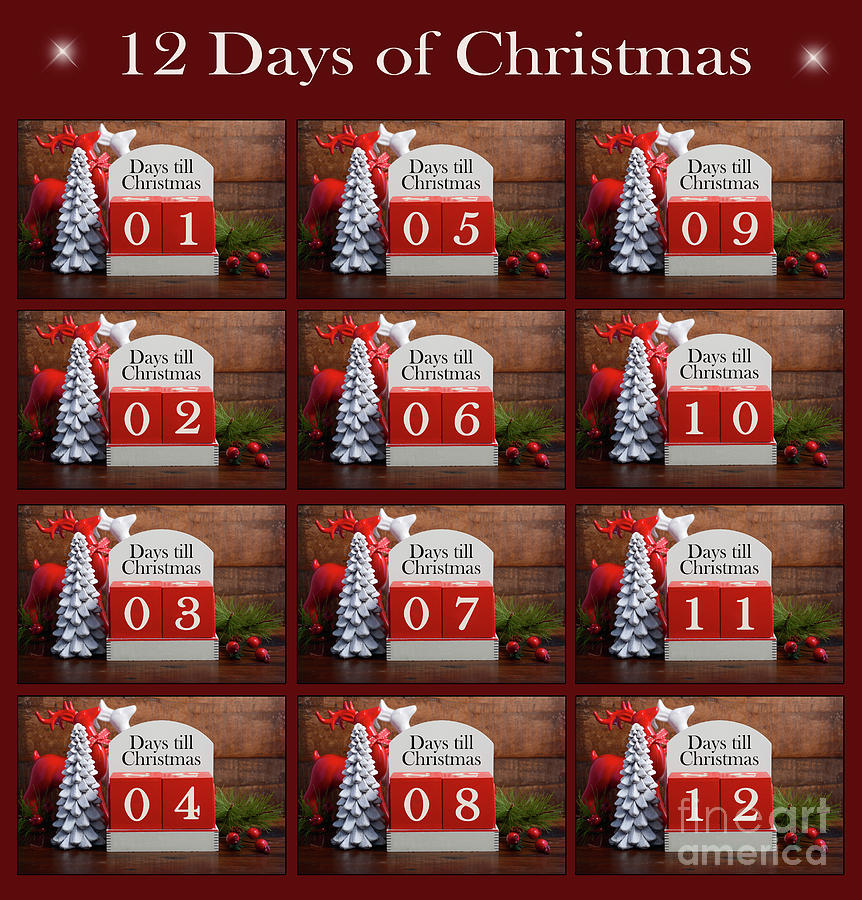 Twelve Days til Christmas collage advent calendar. Photograph by Milleflore  Images - Pixels