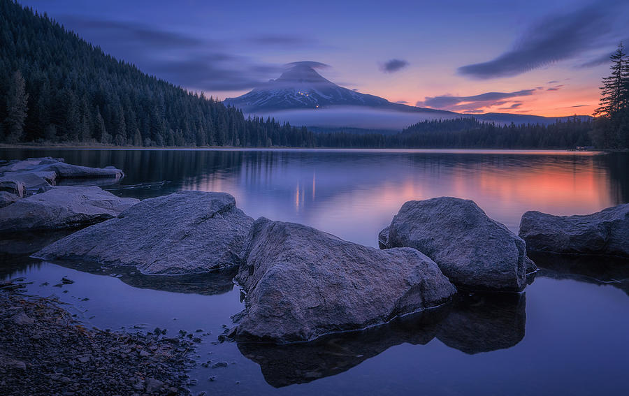 Twilight At Trillium Lake Photograph by Lydia Jacobs