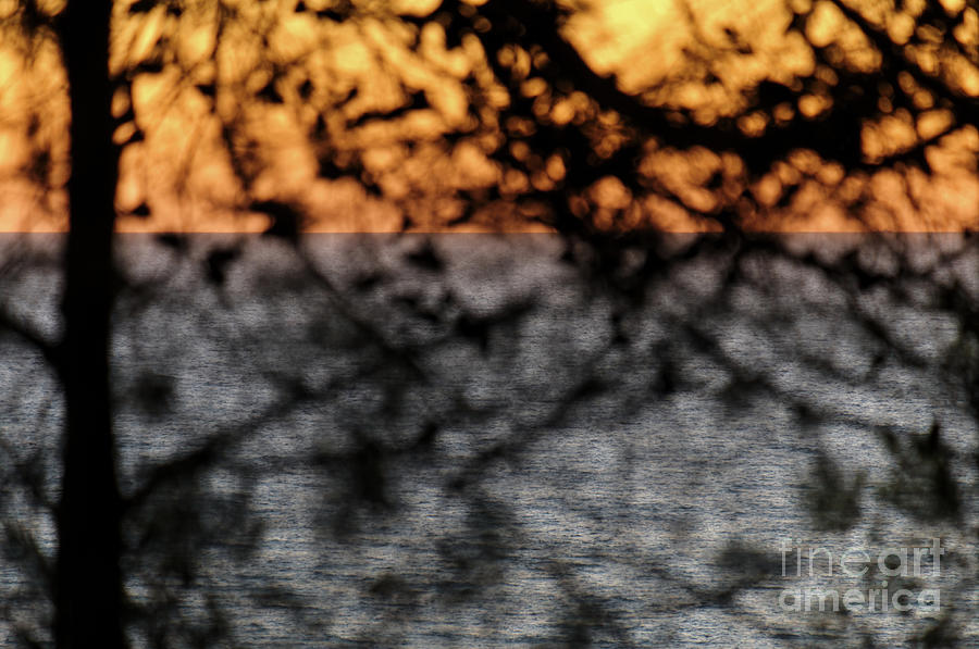 Twilight Dreams by Angelo DeVal Twilight Dreams by Angelo DeVal