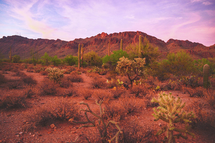 Sunset Photograph - Twilight glow on the Tucson Mountains and Sonoran Desert, Arizona by Chance Kafka
