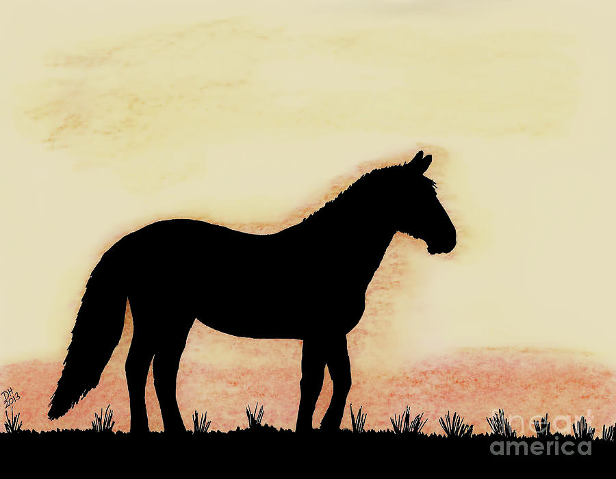 Twilight - Horse Drawing by D Hackett