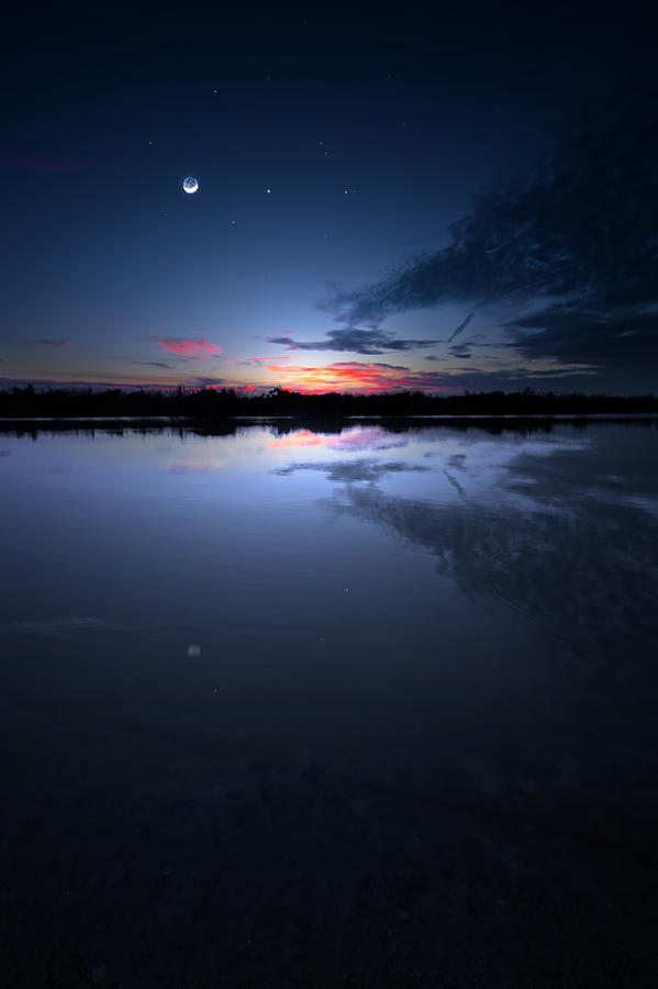 Twilight in the Glades Photograph by Mark Andrew Thomas