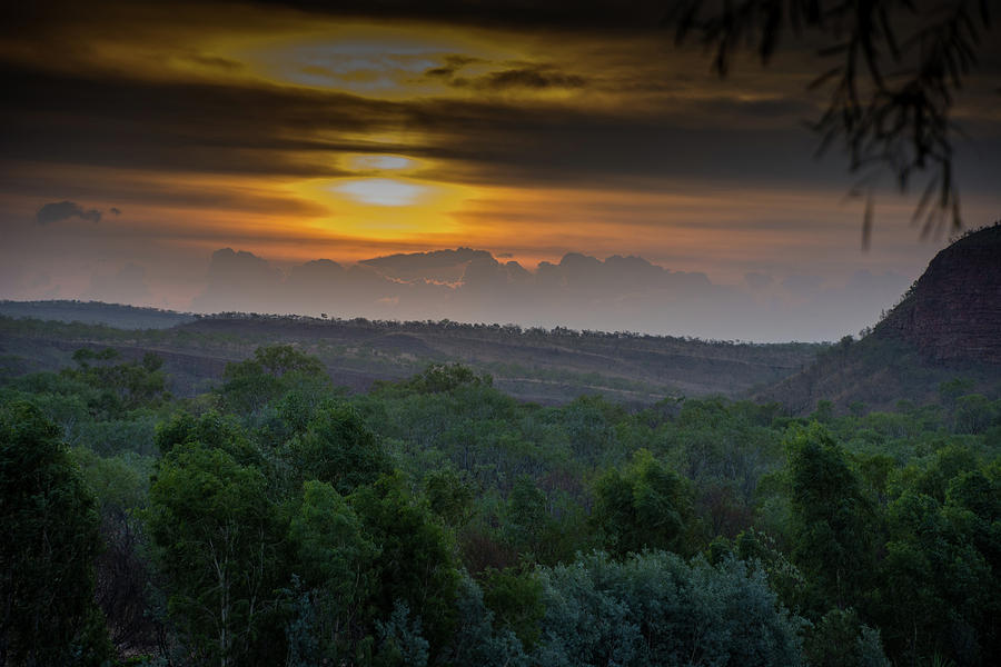 Twilight Kimberley Forest Photograph by Mark Hunter
