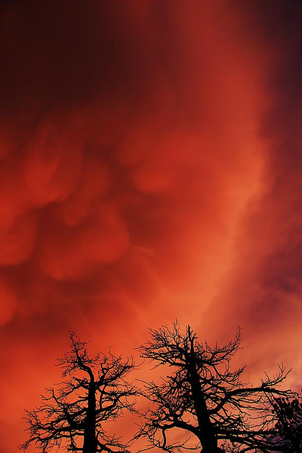 Twilight Mammatus Photograph by Sean Sarsfield