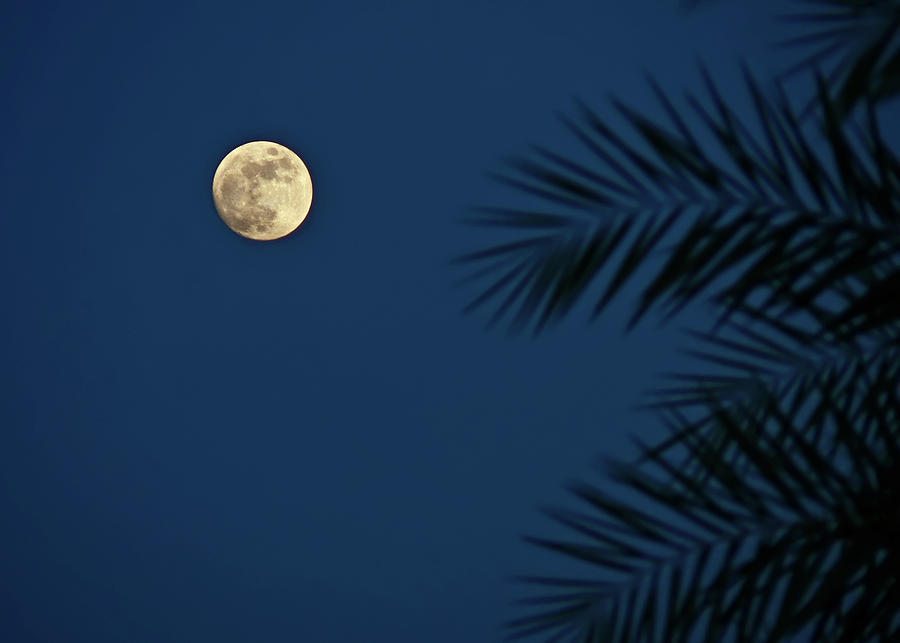 Twilight Moon Photograph by Pandiyan V
