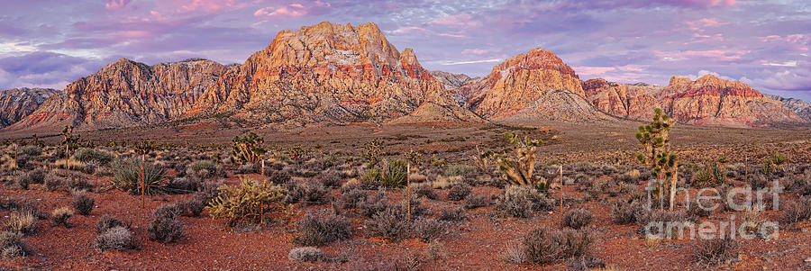 Twilight Panorama of Red Rock Canyon and Joshua Trees - Mojave Desert Las Vegas Nevada Photograph by Silvio Ligutti