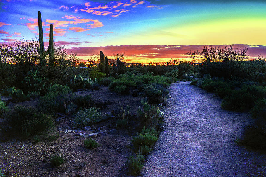 Twilight Trail to Tucson Photograph by Chance Kafka