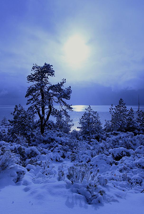 Twilight Winter Dreams  Photograph by Sean Sarsfield