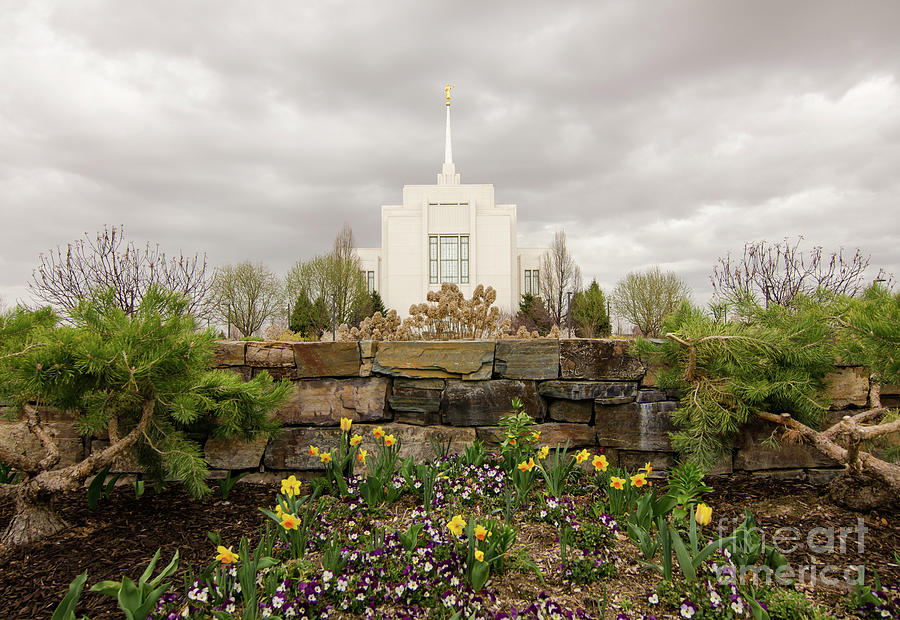 Twin Falls Idaho Temple Photograph by Nick Boren