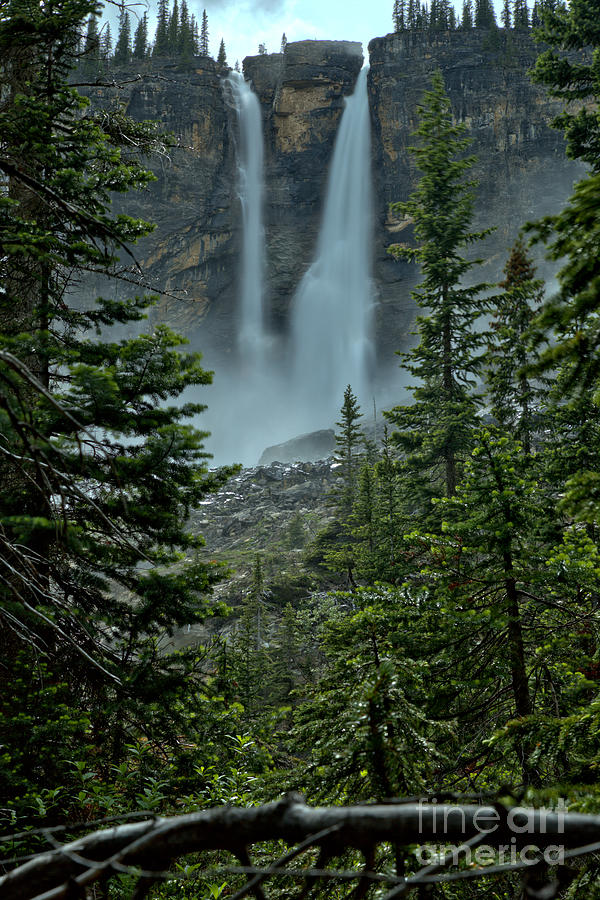 Twin Falls Through The Trees Photograph by Adam Jewell