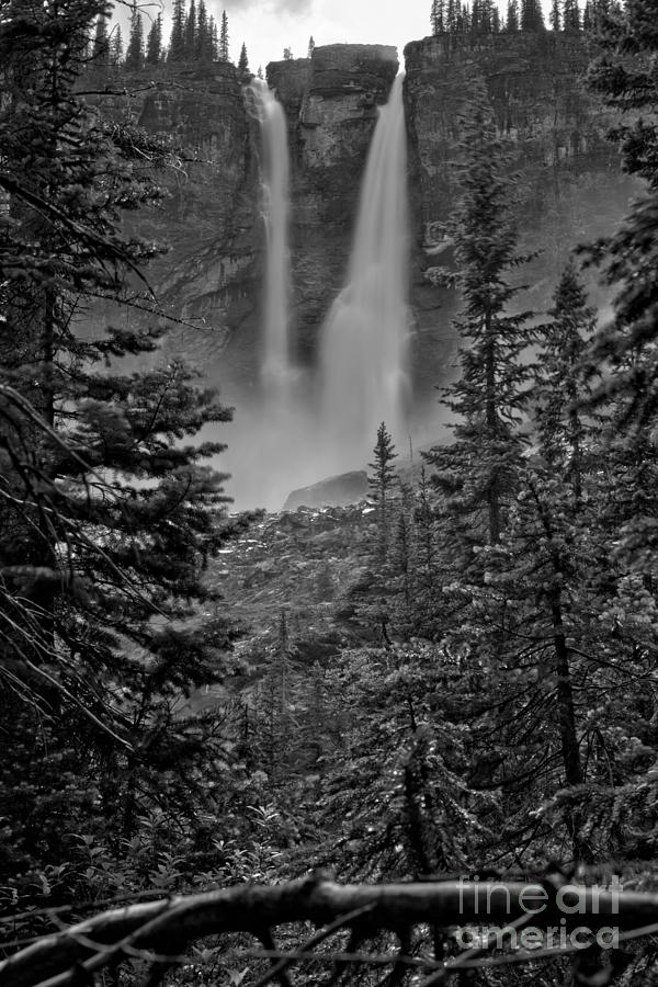Twin Falls Through The Trees Black And White Photograph by Adam Jewell