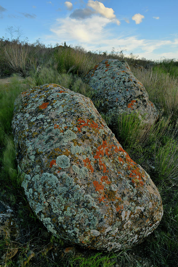 Twin Lichen Covered Boulders In Book Cliffs Photograph