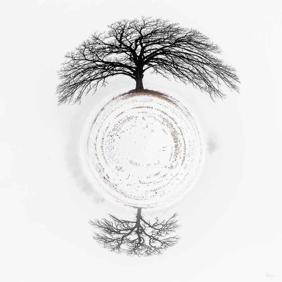 Twin Oaks at the Poles of a Little Planet  -  surreal winter scene in WI from actual photo Photograph by Peter Herman