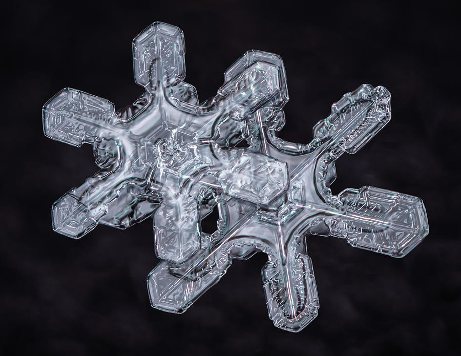 Twin Snowflakes Photograph by Brian Caldwell