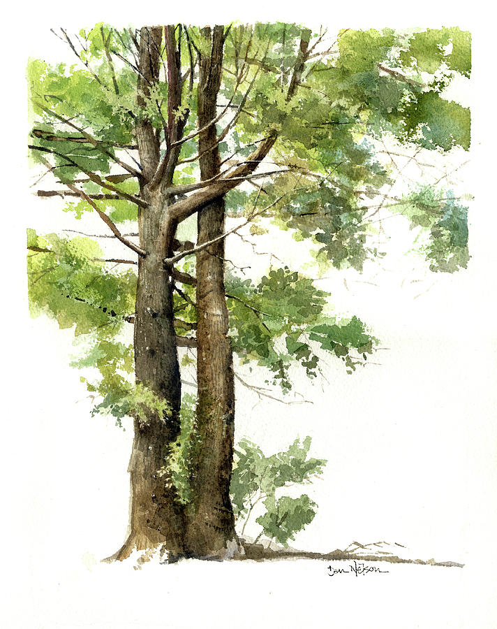 Twin Tree Study Painting