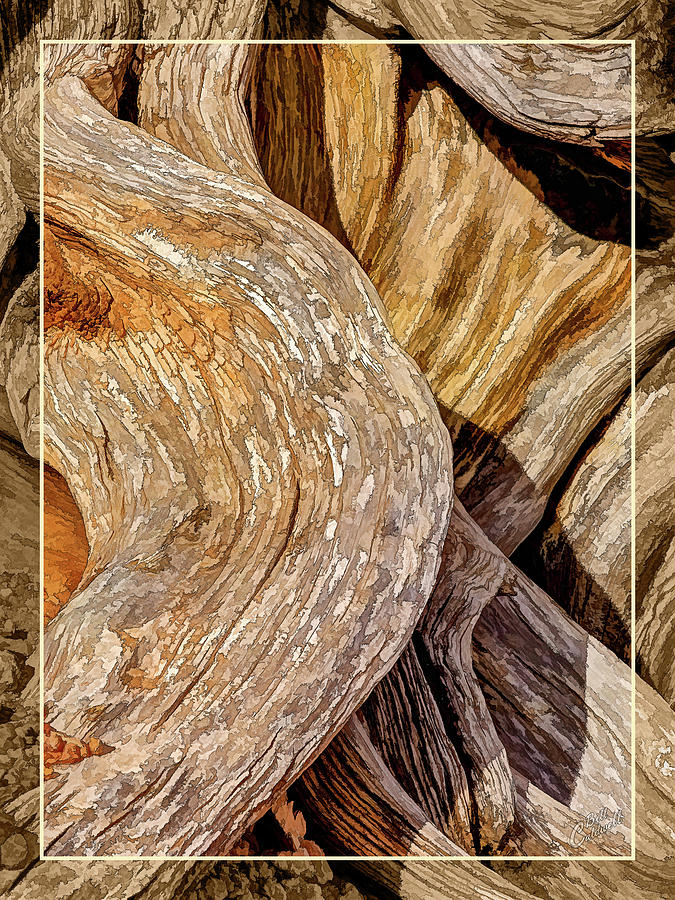 True Growth by ABeautifulSky Photography by Bill Caldwell True Growth by ABeautifulSky Photography by Bill Caldwell