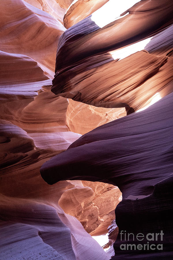Twisted Stone by Scott Kemper Twisted Stone by Scott Kemper