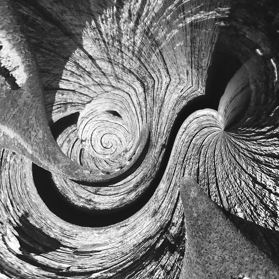 Twisted Textures Photograph by Larry Carr