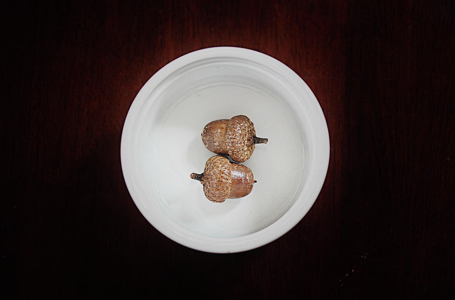 Two Acorns Side By Side In White Dish Photograph by Stephanie Mull Photography