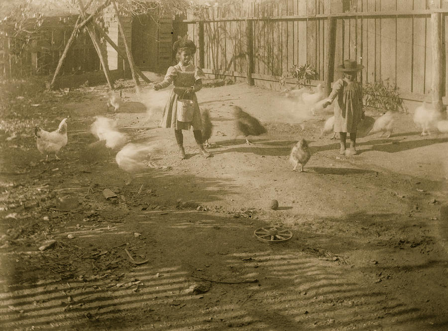 Two African American children feeding chickens in a fenced-in yard Painting by Unknown