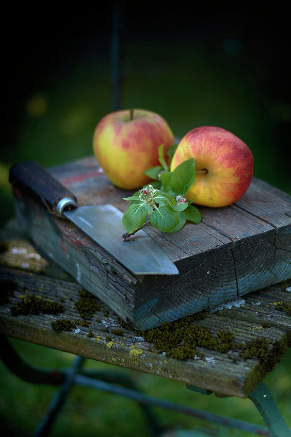 Two Apples With Leaves And A Knife On A Wooden Block Photograph by Christoph Maria Hnting