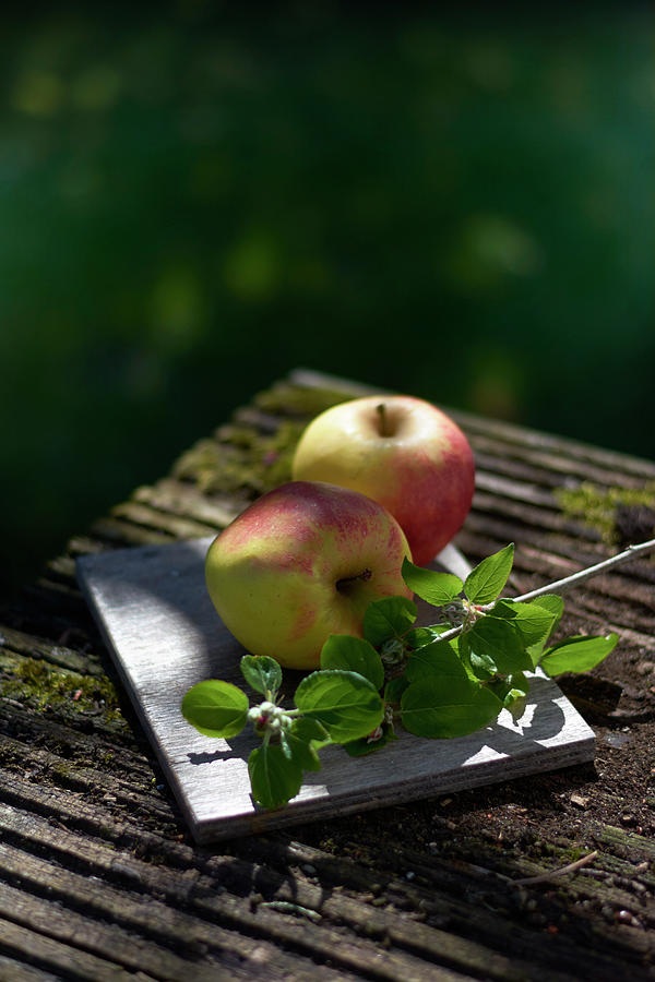 Two Apples With Leaves On A Wooden Table Outdoors Photograph by Christoph Maria Hnting