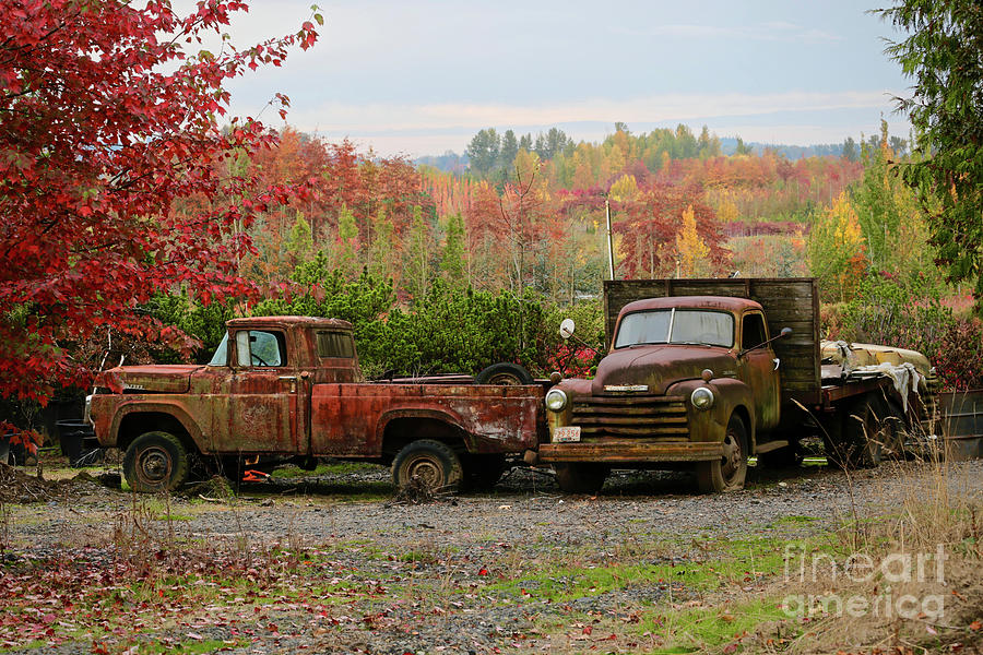 Two Autumn Vintage Trucks Painting by American School - Fine Art America