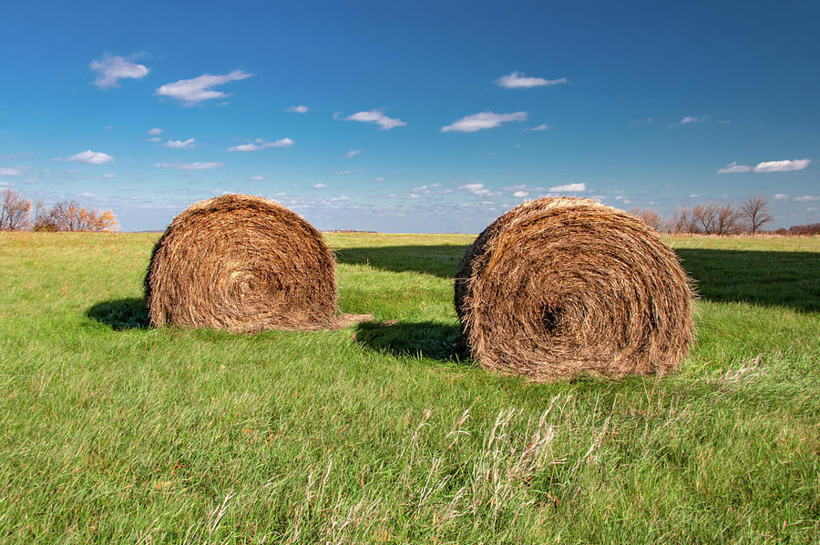 Two Bales Photograph by Todd Klassy