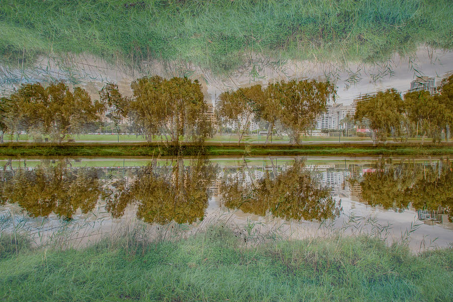 Tree Photograph - Two Banks To The River by Joshua Raif