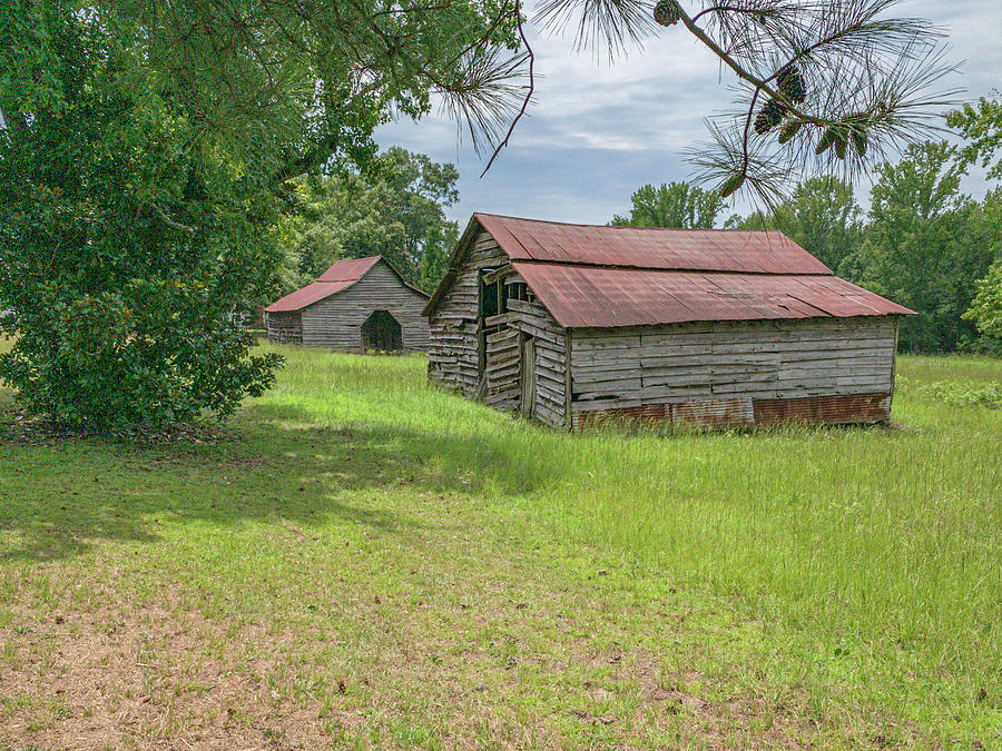 Two Barns 2019-08 03 Photograph by Jim Dollar