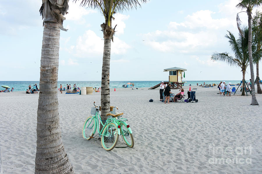 Two beach cruiser bicycles lean against a palm tree on Hollywood Photograph by William Kuta