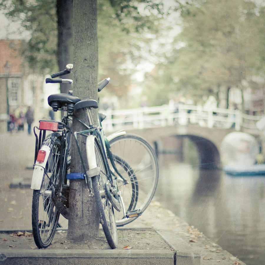 Two Bikes Parked Against Tree By Canal Photograph by Cindy Prins