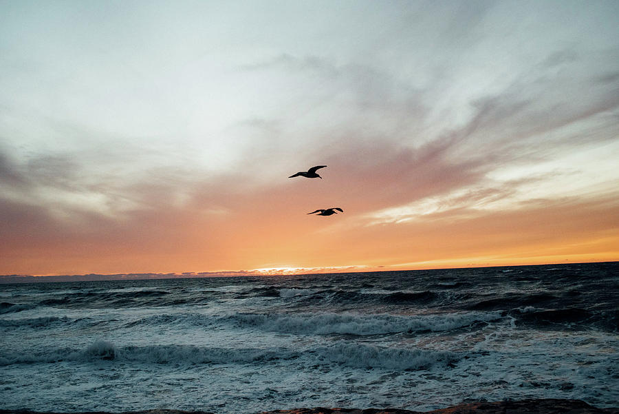 Two Birds Fly Together Over The Ocean As The Sun Sets Behind Them