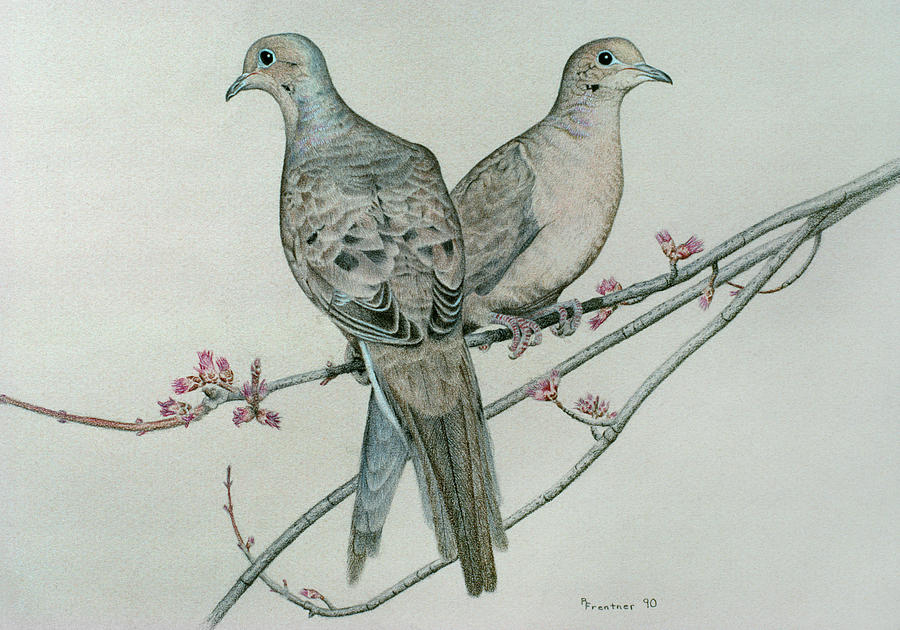 Two Birds On Branch Painting by Rusty Frentner