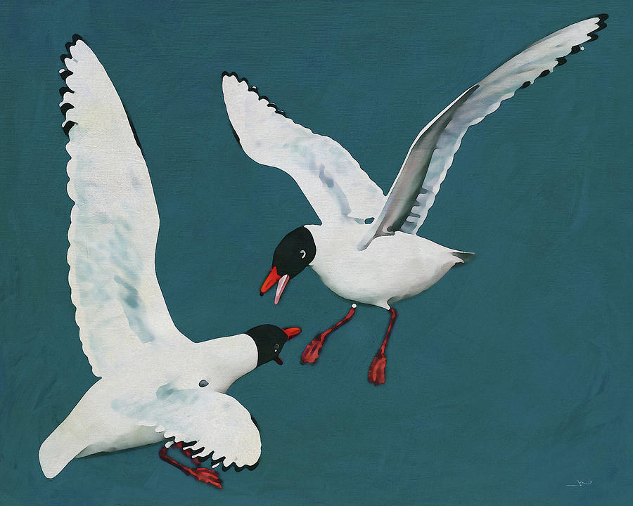 Two Black Headed Seagulls in Conflict Digital Art by Jan Keteleer