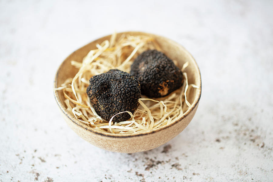 Two Black Winter Truffles From Tuscany italy Photograph by Jan Wischnewski