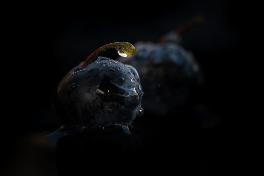 Two blueberries and drops Photograph by Jenco van Zalk