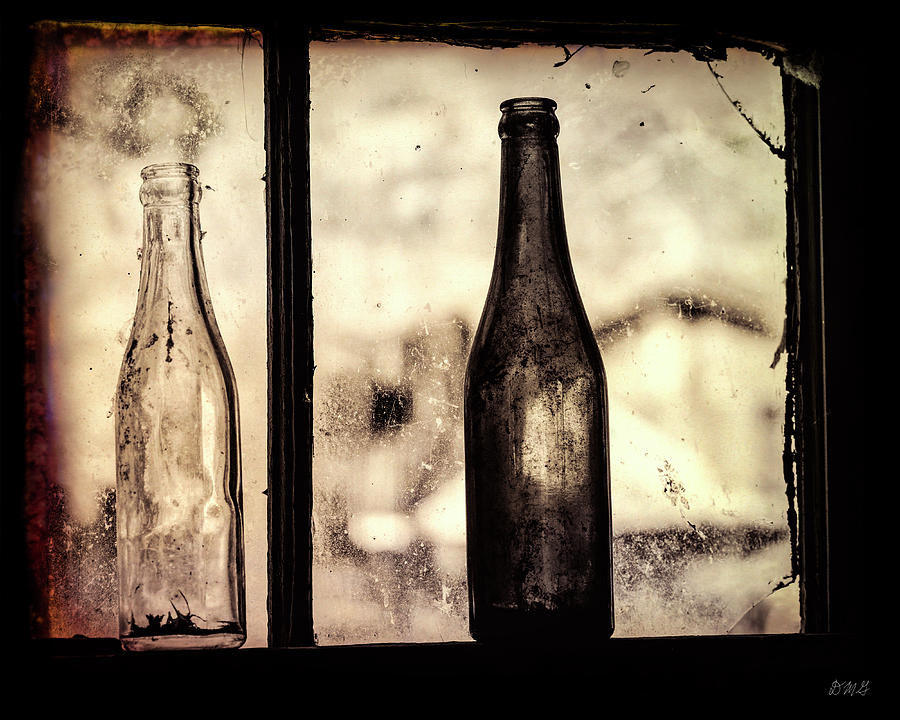 Bottle Photograph - Two Bottles by David Gordon