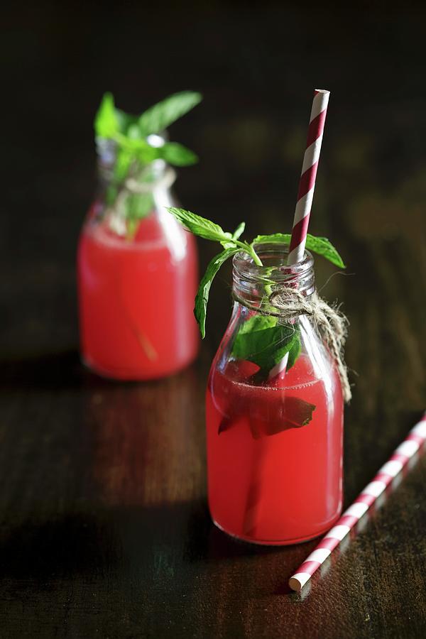 Two Bottles Of Watermelon Juice With Fresh Mint Photograph by Emel Ernalbant