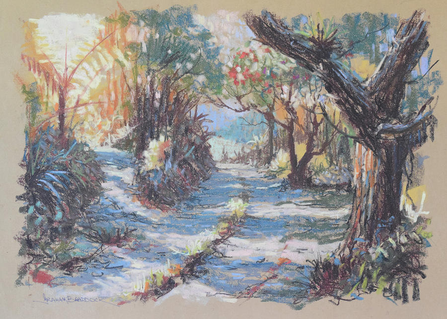 Two Bush Tracks by Graham Braddock Two Bush Tracks by Graham Braddock