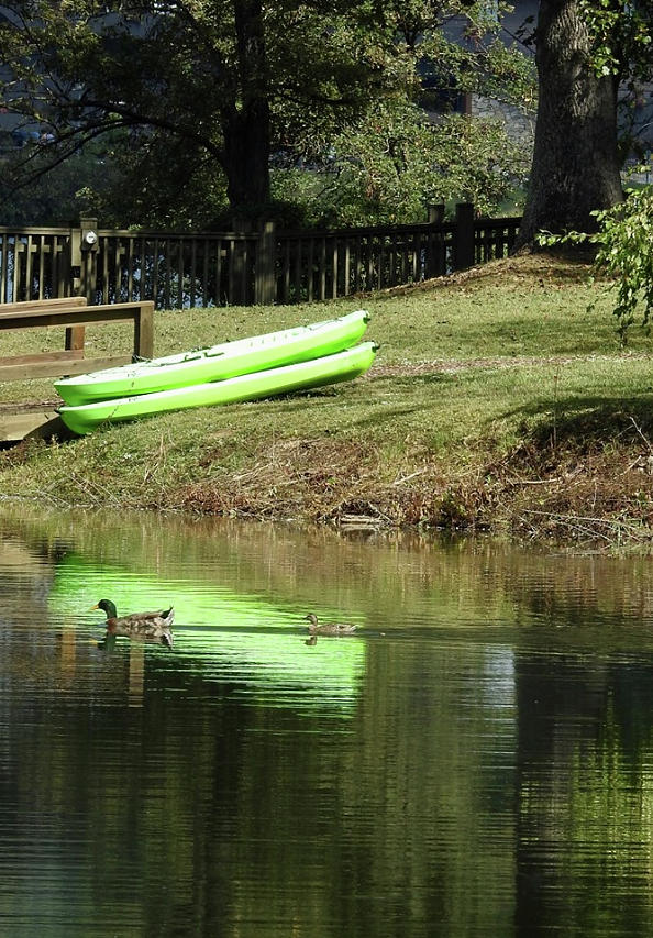 Two By Two Ducks and Canoes Photograph by Kathy Chism