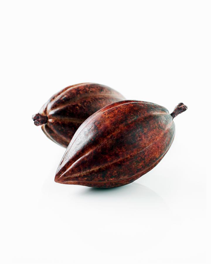 Two Cacao Pods Photograph by Charlie Richards