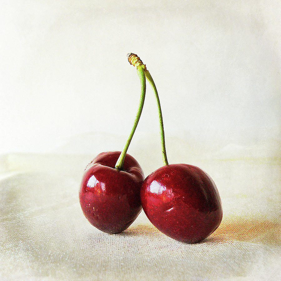 Two Cherries Photograph by By Margoluc